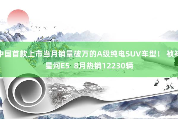 中国首款上市当月销量破万的A级纯电SUV车型！ 祯祥星河E5  8月热销12230辆