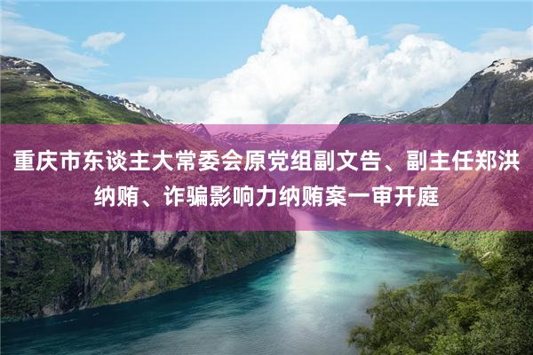 重庆市东谈主大常委会原党组副文告、副主任郑洪纳贿、诈骗影响力纳贿案一审开庭