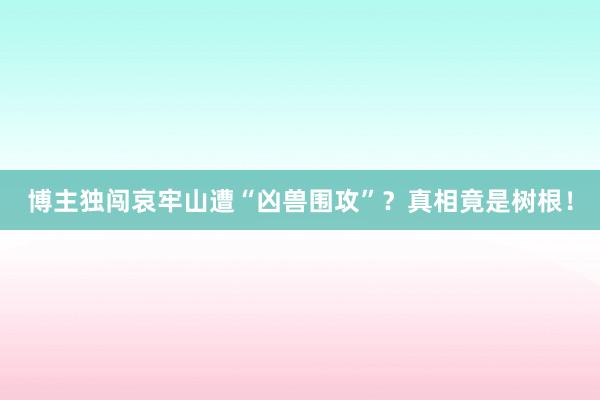 博主独闯哀牢山遭“凶兽围攻”？真相竟是树根！