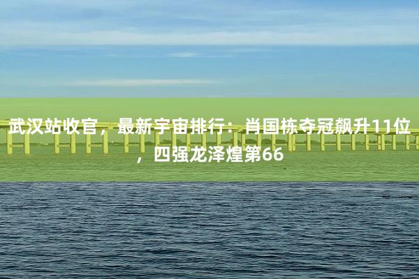 武汉站收官，最新宇宙排行：肖国栋夺冠飙升11位，四强龙泽煌第66