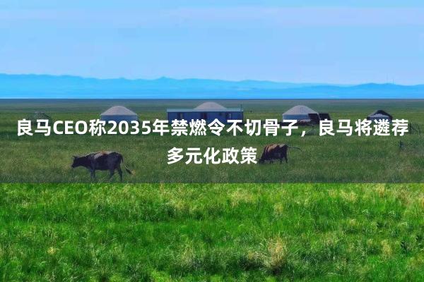 良马CEO称2035年禁燃令不切骨子，良马将遴荐多元化政策