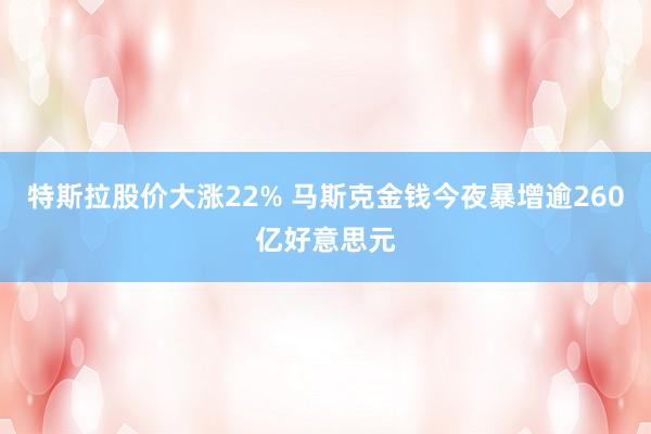 特斯拉股价大涨22% 马斯克金钱今夜暴增逾260亿好意思元