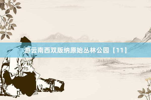 游云南西双版纳原始丛林公园【11】